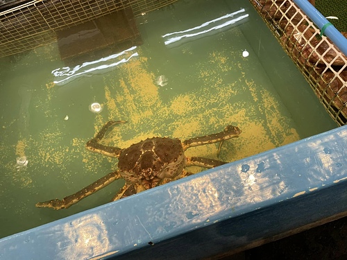 20230209 北海道 (4).jpg - 2023日本旅遊