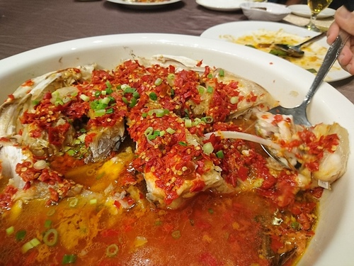 2016082033.jpg - 2016年品酒誌