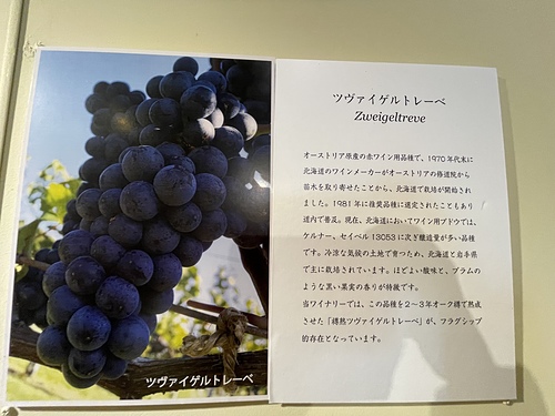 2023北海道20 (32).jpg - 2023日本旅遊