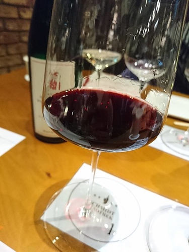 20170428德國不喝麗絲玲 (23).jpg - 2017年品酒誌