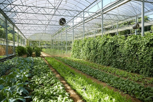 20220222 (38).jpg - 2022品酒誌