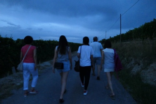 20170708 松露義大利麵 (28).jpg - 2017醉飲法義