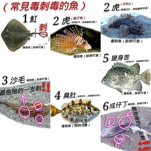 20200826東引高梁 (5).jpg - 2020品酒誌