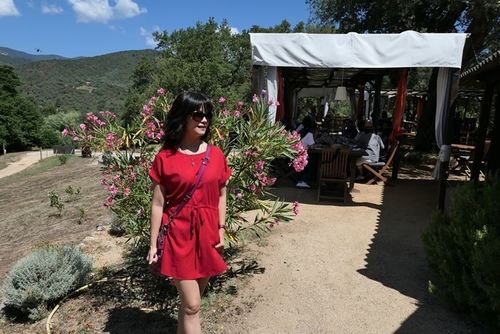 20170703阿爸凸起 (31).jpg - 2017醉飲法義