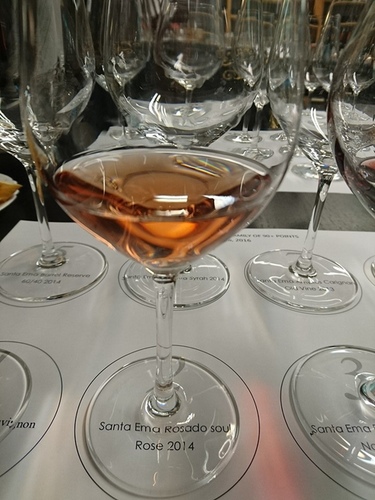 20160326梧桐沙龍智利品酒會 (7).jpg - 2016年品酒誌