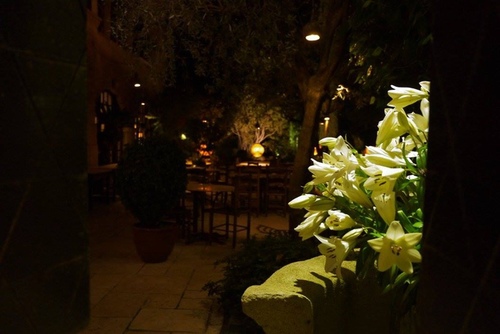 20150210204.jpg - 醉飲南法