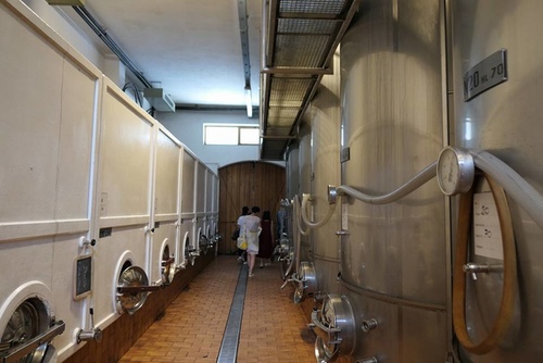 20170807第二個Barbarace酒莊 (4).jpg - 2017醉飲法義