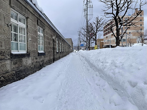 2023北海道19 (5).jpg - 2023日本旅遊