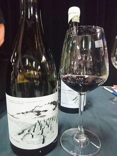 20160528西班牙 (18).jpg - 2016年品酒誌