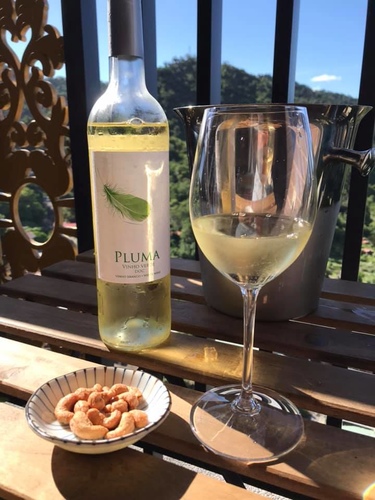 20200822綠酒 (4).jpg - 2020品酒誌