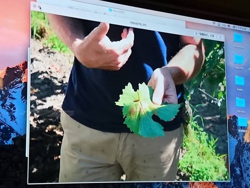 20161029WINE (36).jpg - 2016年品酒誌