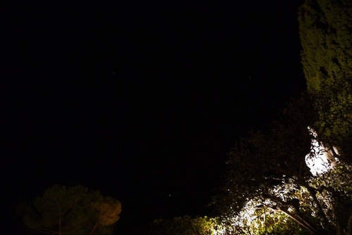 20150210270.jpg - 醉飲南法