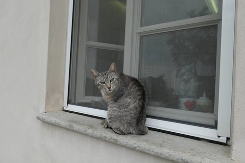 20170709葡萄園飯店早餐 (9).jpg - 2017醉飲法義