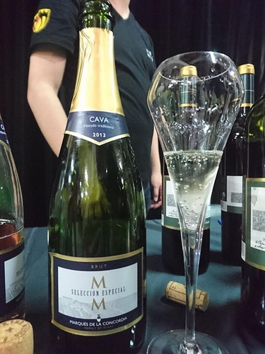 20160528西班牙 (11).jpg - 2016年品酒誌