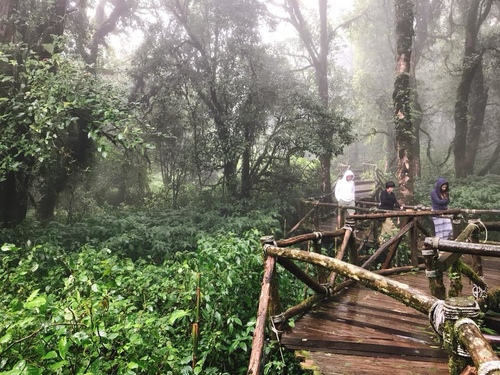 20180709-1 (23).jpg - 2018泰北放暑假