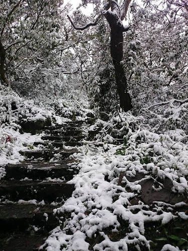 20150124雪中品飲普羅旺斯粉紅 (7).jpg - 2016年品酒誌