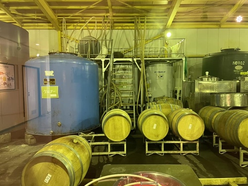 2023北海道20 (4).jpg - 2023日本旅遊