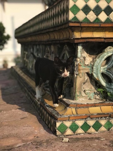 0212-3 (23).jpg - 2018清邁食旅記