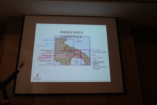 20151128 酒神南義 (9).jpg - 2015年品酒誌