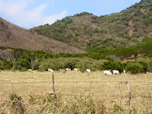 20151216 墾丁 十字木桐紅酒 (10).jpg - 2015年品酒誌