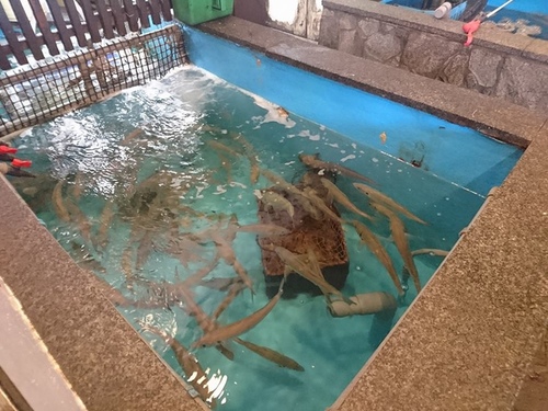 20160705 1-26 (1).jpg - 2016慢遊九州