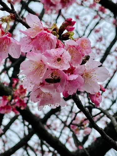 20220124 (18).jpg - 2022品酒誌