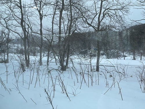 2023北海道 (9).jpg - 2023日本旅遊