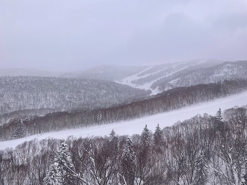 2023北海道10 (11).jpg - 2023日本旅遊