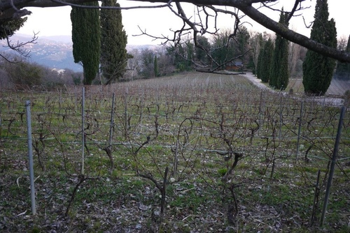 39 20150209u5c3cu65afu73bbu7483u74f6u9152u5e84(u9152u5e848)18.jpg - u9189u98f2u5357u6cd5