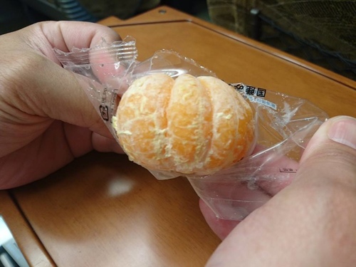 1-12 鹿兒島便當 (3).jpg - 2016慢遊九州