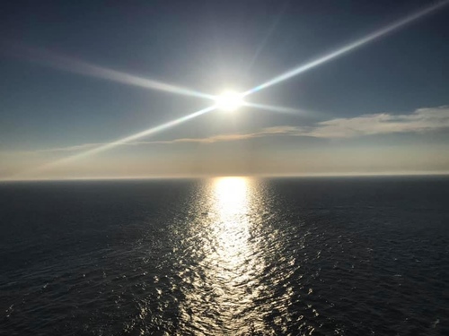 20200721靜伏鱷魚 (1).jpg - 2020-7卡蹓馬祖