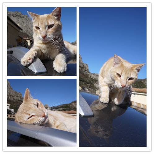 20150212 從尼斯回里昂24.jpg - 醉飲南法