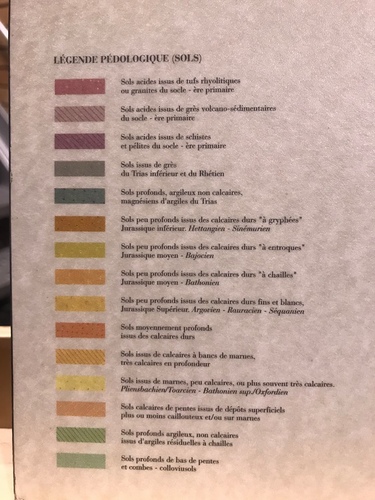 20190722Fuisse第一個酒莊 (35).JPG - 2019醉飲法奧瑞