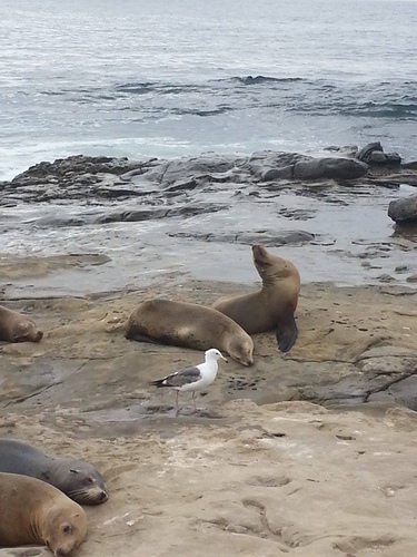 201605150102.jpg - 2016年品酒誌