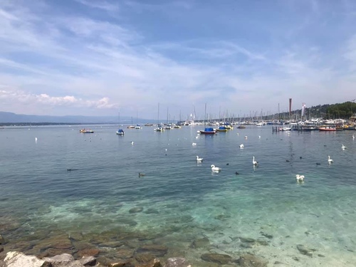 20190722日內瓦 (15).jpg - 2019醉飲法奧瑞