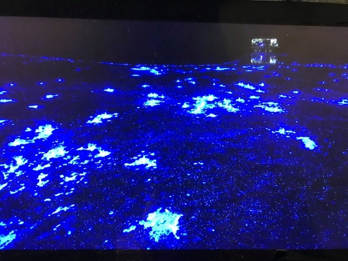 20200720北海坑道 (13).jpg - 2020-7卡蹓馬祖